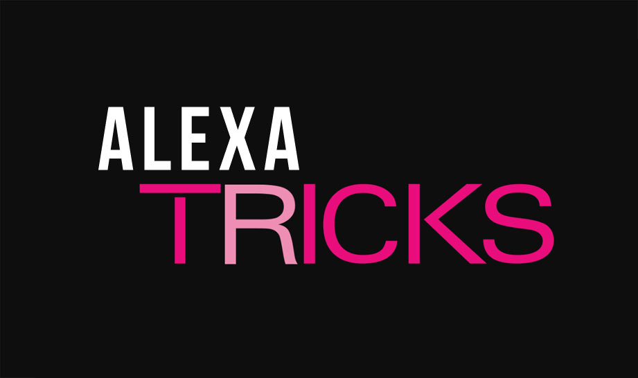 Alexa Accessories UK Full 2024 Guide & Best Extras To Buy