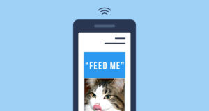 Skymee Pet Feeder Review – Cool For Cats… and Dogs Skymee Pet Feeder