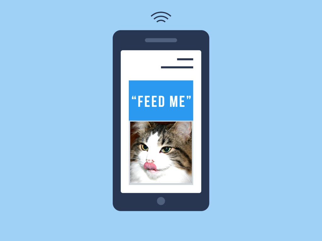 automatic pet feeder argos