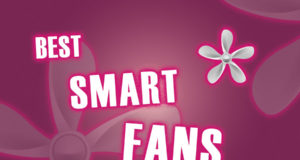 The Best Smart Fans to Keep Cool This Summer The Best Smart Fans to Keep Cool This Summer