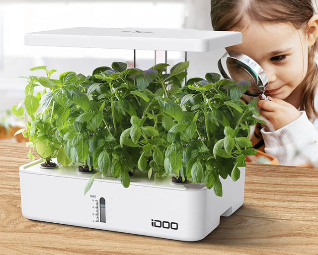 iDoo Indoor Garden Review A Good Budget Hydroponics Kit? Smart Tech