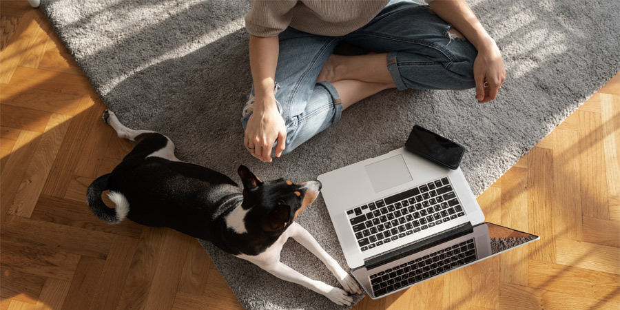 Man working with his dog